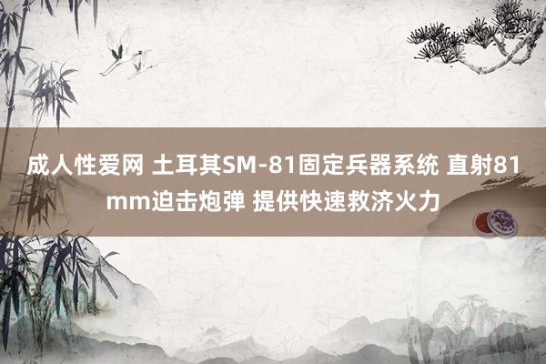 成人性爱网 土耳其SM-81固定兵器系统 直射81mm迫击炮弹 提供快速救济火力