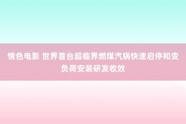 情色电影 世界首台超临界燃煤汽锅快速启停和变负荷安装研发收效
