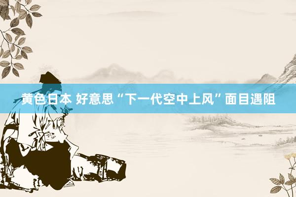 黄色日本 好意思“下一代空中上风”面目遇阻