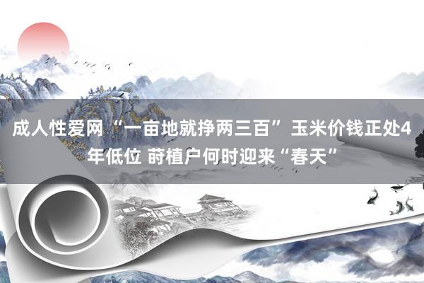 成人性爱网 “一亩地就挣两三百” 玉米价钱正处4年低位 莳植户何时迎来“春天”