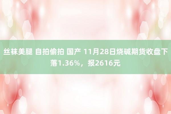 丝袜美腿 自拍偷拍 国产 11月28日烧碱期货收盘下落1.36%，报2616元
