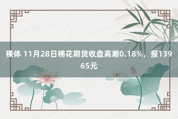 裸体 11月28日棉花期货收盘高潮0.18%，报13965元