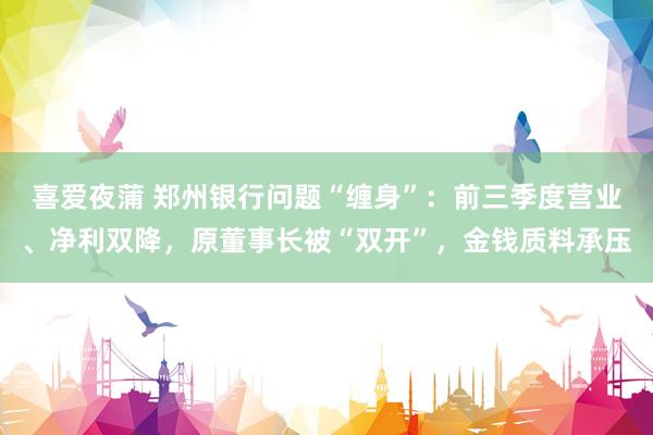 喜爱夜蒲 郑州银行问题“缠身”：前三季度营业、净利双降，原董事长被“双开”，金钱质料承压