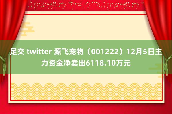 足交 twitter 源飞宠物（001222）12月5日主力资金净卖出6118.10万元