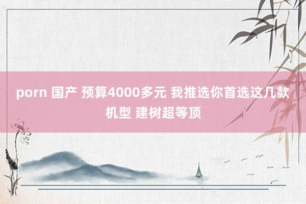 porn 国产 预算4000多元 我推选你首选这几款机型 建树超等顶