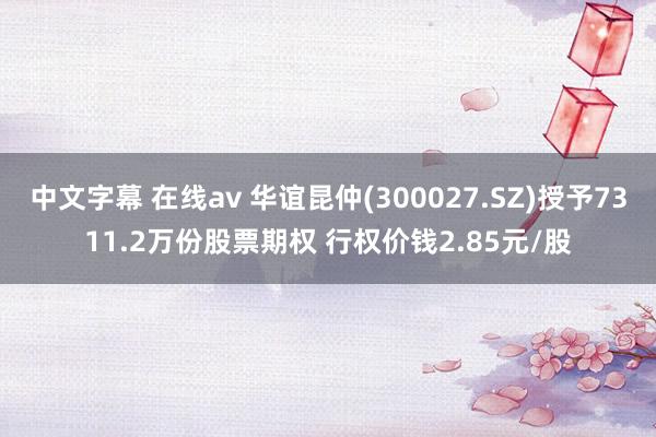 中文字幕 在线av 华谊昆仲(300027.SZ)授予7311.2万份股票期权 行权价钱2.85元/股