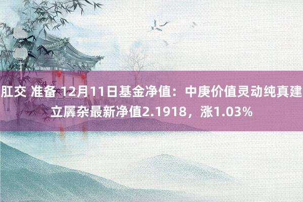 肛交 准备 12月11日基金净值：中庚价值灵动纯真建立羼杂最新净值2.1918，涨1.03%