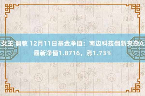 女王 调教 12月11日基金净值：南边科技翻新夹杂A最新净值1.8716，涨1.73%