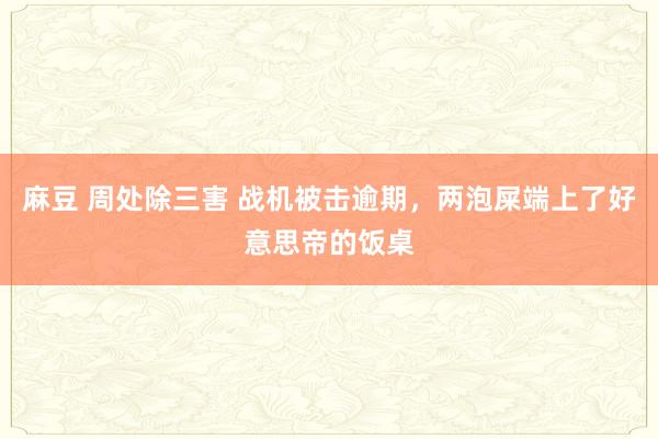 麻豆 周处除三害 战机被击逾期，两泡屎端上了好意思帝的饭桌