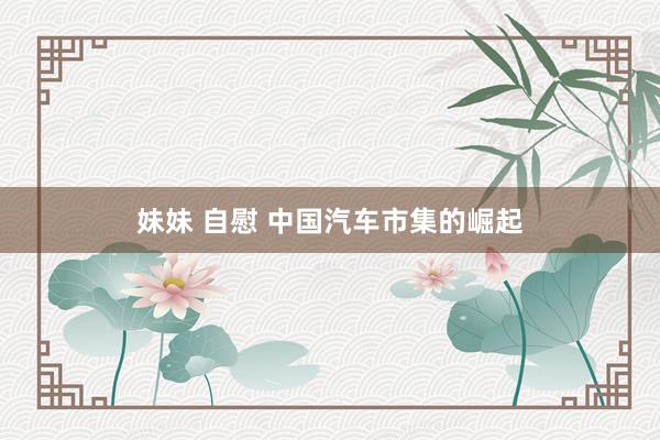 妹妹 自慰 中国汽车市集的崛起