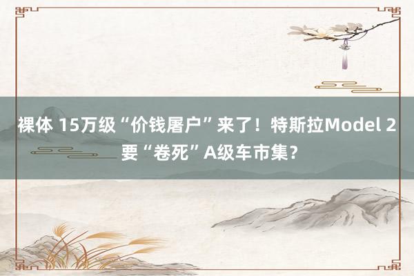 裸体 15万级“价钱屠户”来了！特斯拉Model 2 要“卷死”A级车市集？