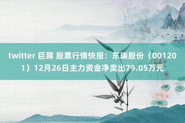 twitter 巨屌 股票行情快报：东瑞股份（001201）12月26日主力资金净卖出79.05万元