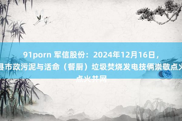 91porn 军信股份：2024年12月16日，平江县市政污泥与活命（餐厨）垃圾焚烧发电技俩崇敬点火并网
