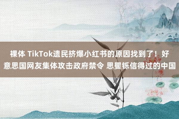 裸体 TikTok遗民挤爆小红书的原因找到了！好意思国网友集体攻击政府禁令 思矍铄信得过的中国