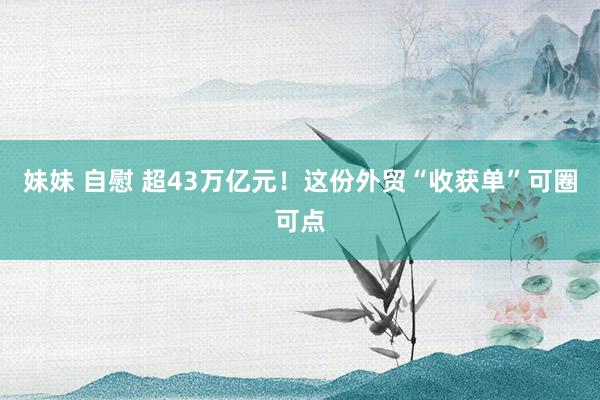 妹妹 自慰 超43万亿元！这份外贸“收获单”可圈可点