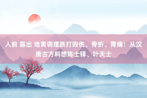 人前 露出 地黄调理跌打毁伤、骨折、胃痛：从汉唐古方料想陈士铎、叶天士