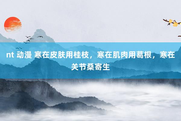 nt 动漫 寒在皮肤用桂枝，寒在肌肉用葛根，寒在关节桑寄生