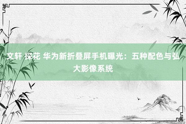 文轩 探花 华为新折叠屏手机曝光：五种配色与弘大影像系统