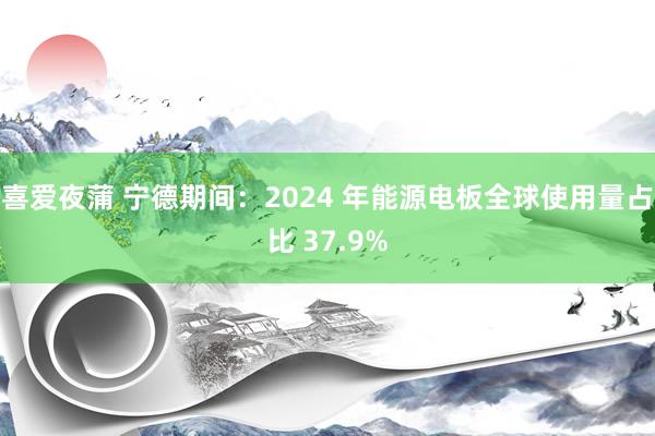 喜爱夜蒲 宁德期间：2024 年能源电板全球使用量占比 37.9%