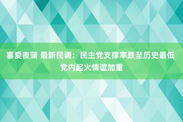 喜爱夜蒲 最新民调：民主党支撑率跌至历史最低 党内起火情谊加重