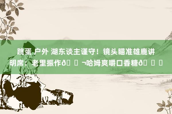 跳蛋 户外 湖东谈主谨守！镜头瞄准雄鹿讲明席：老里振作🚬哈姆爽嚼口香糖😂