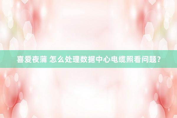 喜爱夜蒲 怎么处理数据中心电缆照看问题？