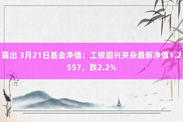 露出 3月21日基金净值：工银圆兴夹杂最新净值1.2557，跌2.2%