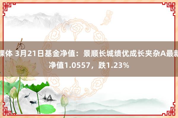 裸体 3月21日基金净值：景顺长城绩优成长夹杂A最新净值1.0557，跌1.23%