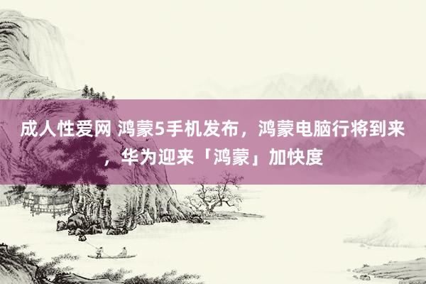 成人性爱网 鸿蒙5手机发布，鸿蒙电脑行将到来，华为迎来「鸿蒙」加快度
