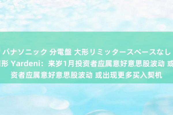 パナソニック 分電盤 大形リミッタースペースなし 露出・半埋込両用形 Yardeni：来岁1月投资者应属意好意思股波动 或出现更多买入契机