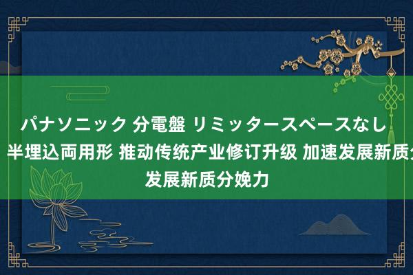 パナソニック 分電盤 リミッタースペースなし 露出・半埋込両用形 推动传统产业修订升级 加速发展新质分娩力