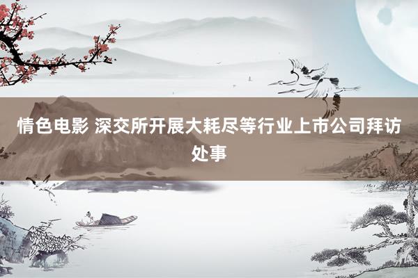 情色电影 深交所开展大耗尽等行业上市公司拜访处事