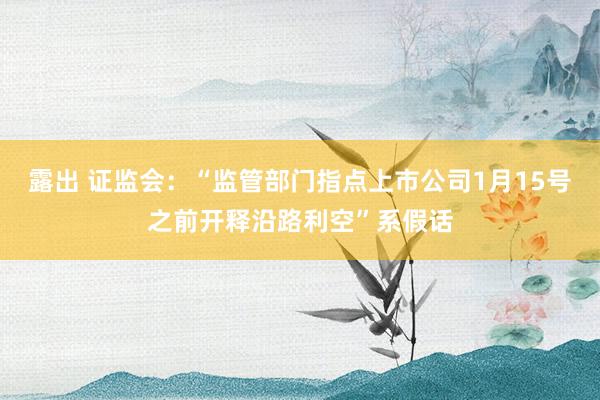 露出 证监会：“监管部门指点上市公司1月15号之前开释沿路利空”系假话