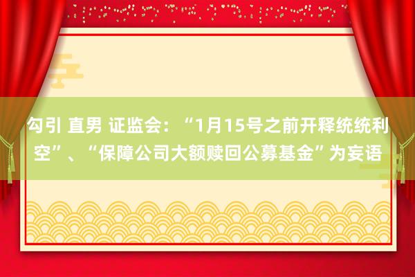 勾引 直男 证监会：“1月15号之前开释统统利空”、“保障公司大额赎回公募基金”为妄语
