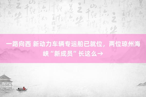 一路向西 新动力车辆专运船已就位，两位琼州海峡“新成员”长这么→