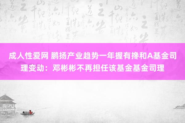 成人性爱网 鹏扬产业趋势一年握有搀和A基金司理变动：邓彬彬不再担任该基金基金司理