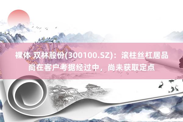 裸体 双林股份(300100.SZ)：滚柱丝杠居品尚在客户考据经过中，尚未获取定点