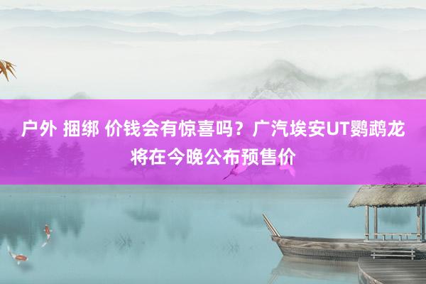 户外 捆绑 价钱会有惊喜吗？广汽埃安UT鹦鹉龙将在今晚公布预售价