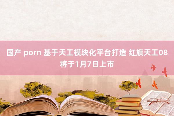 国产 porn 基于天工模块化平台打造 红旗天工08将于1月7日上市