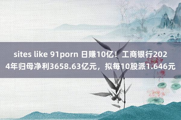 sites like 91porn 日赚10亿！工商银行2024年归母净利3658.63亿元，拟每10股派1.646元