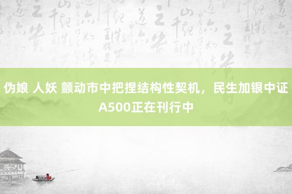 伪娘 人妖 颤动市中把捏结构性契机，民生加银中证A500正在刊行中