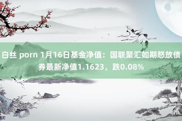白丝 porn 1月16日基金净值：国联聚汇如期怒放债券最新净值1.1623，跌0.08%
