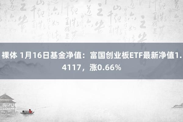 裸体 1月16日基金净值：富国创业板ETF最新净值1.4117，涨0.66%