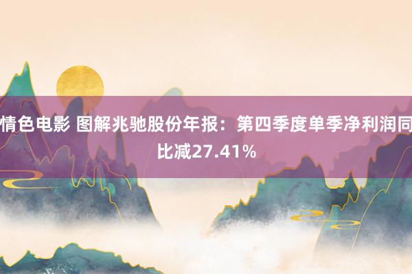 情色电影 图解兆驰股份年报：第四季度单季净利润同比减27.41%
