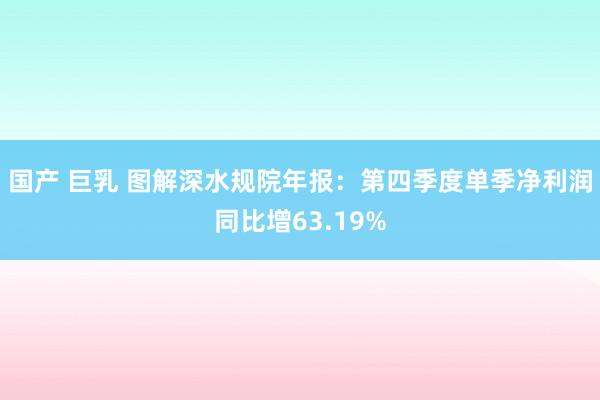 国产 巨乳 图解深水规院年报：第四季度单季净利润同比增63.19%