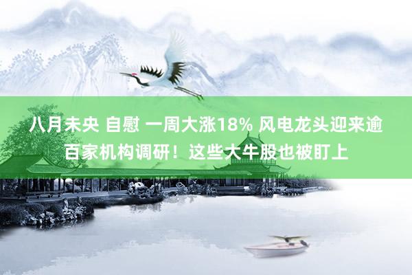 八月未央 自慰 一周大涨18% 风电龙头迎来逾百家机构调研！这些大牛股也被盯上