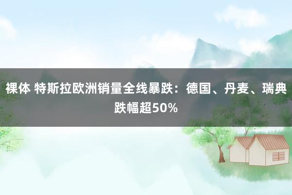 裸体 特斯拉欧洲销量全线暴跌：德国、丹麦、瑞典跌幅超50%