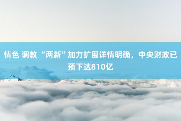 情色 调教 “两新”加力扩围详情明确，中央财政已预下达810亿