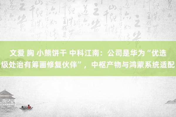 文爱 胸 小熊饼干 中科江南：公司是华为“优选级处治有筹画修复伙伴”，中枢产物与鸿蒙系统适配