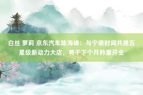 白丝 萝莉 京东汽车陈海峰：与宁德时间共建五星级新动力大店，将于下个月矜重开业